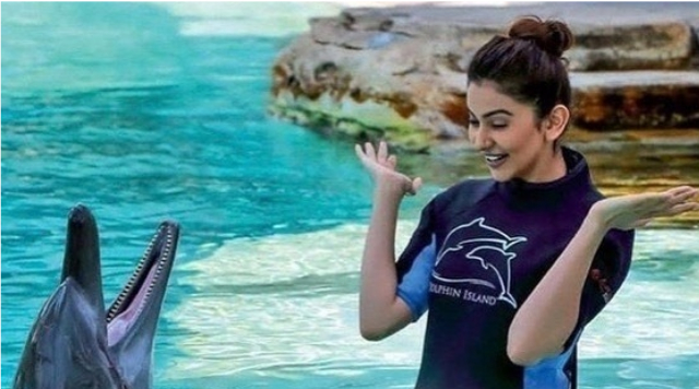 Rakul Preet Singh Gets Clicked With A Dolphin