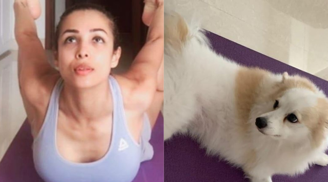 Hotness Malaika Arora Got A New Yoga Teacher!