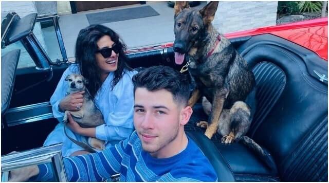 Priyanka Chopra And Nick Jonas All Ready To Take A Drive With Pets.