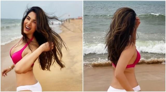 Sonal Chauhan Turns On the Beach Vibes With Her H*tness In Pink Bikini.