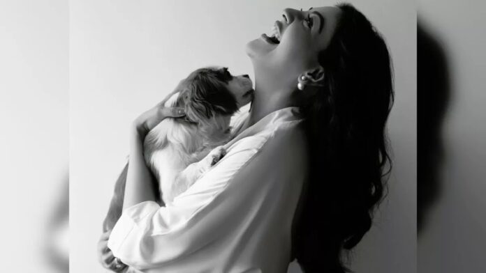 Pregnant Kajal Aggarwal Is Smiling Her Heart Out In The Maternity Photoshoot